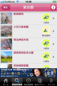 お花見ナビ～みんなでつくる桜百景～ Yahoo! JAPAN　開花情報