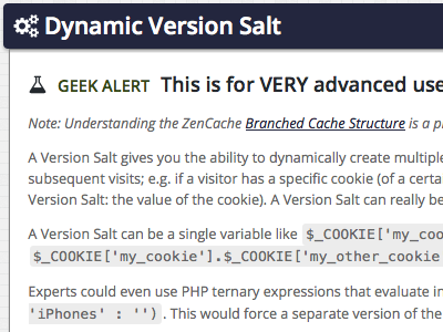 Dynamic Version Salt