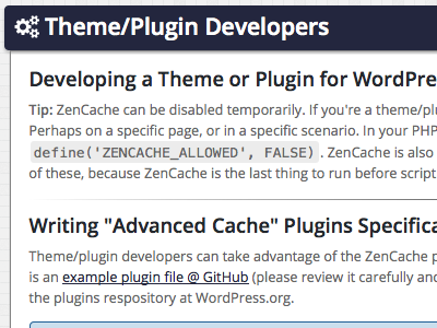 Theme/Plugin Developers