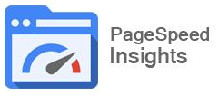 Google Developer PageSpeed Insights