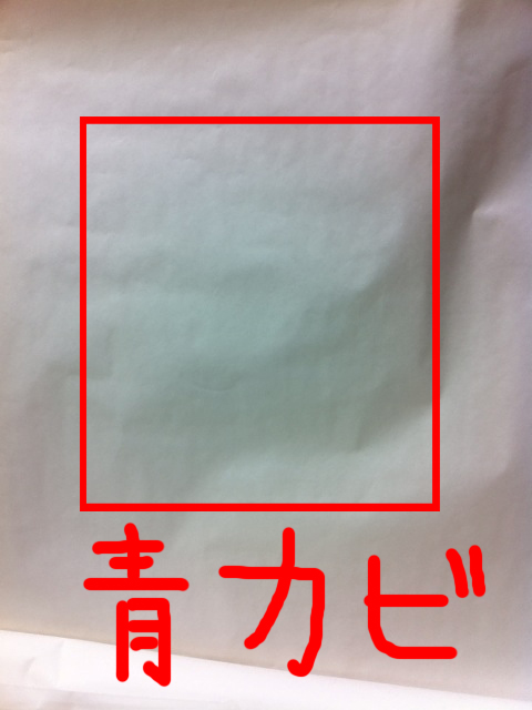 iPhone4 青カビ