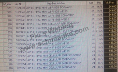 iPad mini ユーロの価格表