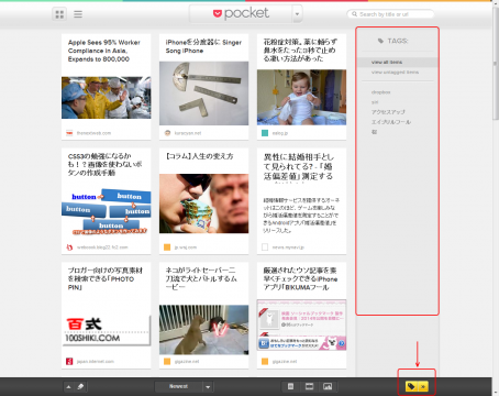 Pocket タグの切り替え
